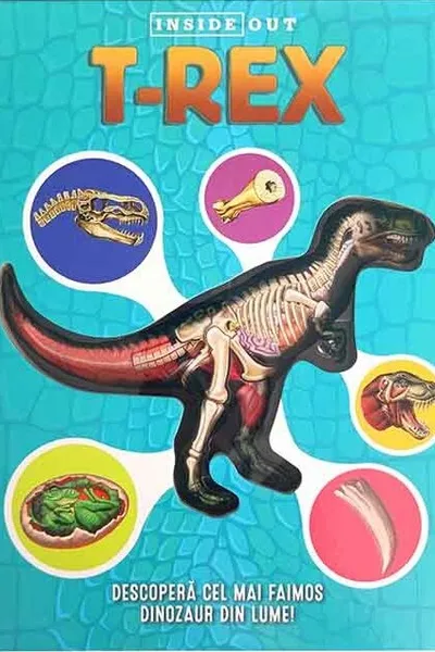 T-REX: Model 3D