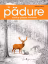În pădure