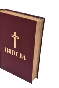 Biblia, format 053, grena