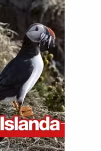 Ghid turistic Islanda