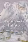 Pe urmele fulgilor