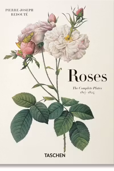 Redoute. Roses