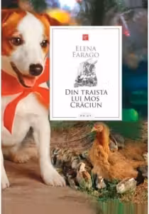Din traista lui Mos Craciun
