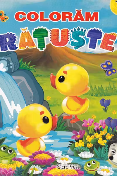Coloram ratuste