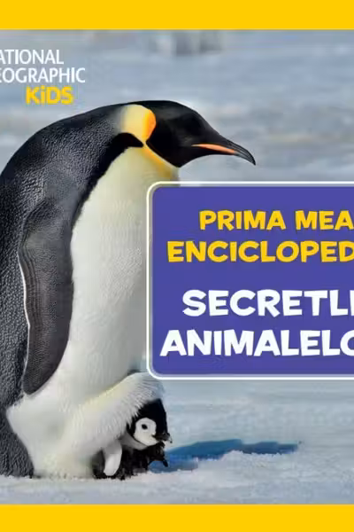 National Geographic. Prima mea enciclopedie. SECRETELE ANIMALELOR.