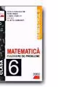 MATEMATICA. CULEGERE DE PROBLEME PENTRU CLASA A VI-A, SEMESTRUL II