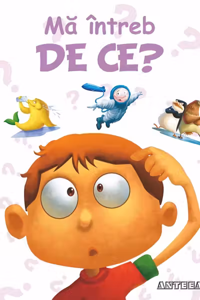Ma intreb de ce?