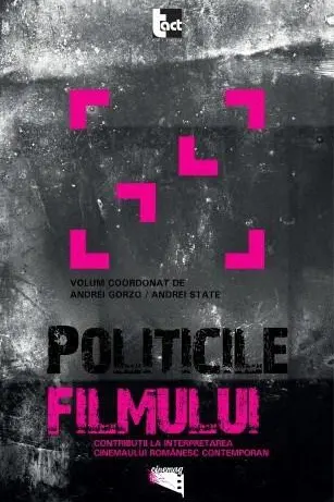 Politicile filmului