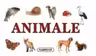 Animale - pliant cartonat