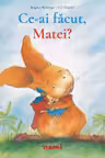 Ce-ai facut, Matei?