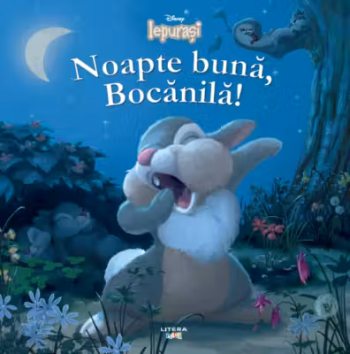 DISNEY. IEPURASI. Noapte buna Bocanila!