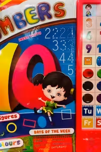 Numbers