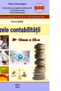 Bazele contabilitatii. Clasa a IX-a