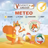 Veverita curioasa - Meteo