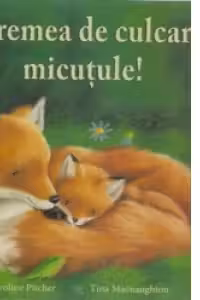 E vremea de culcare, micutule!