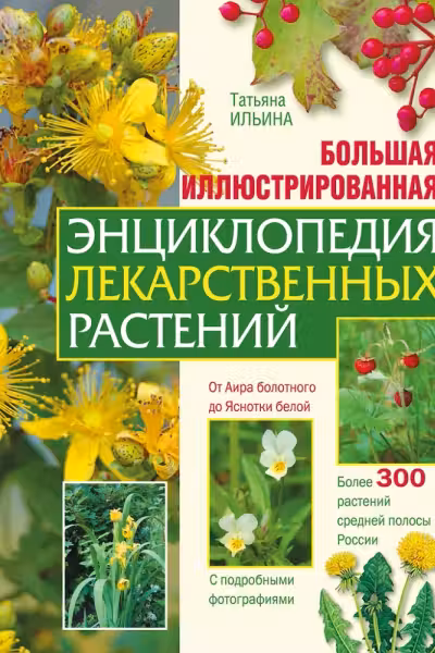Большая иллюстрированная энциклопедия лекарственных растений
