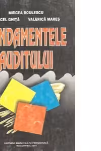 Fundamentele auditului (Contabilitate)
