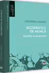 Accidentul de munca. Realitati si perspective