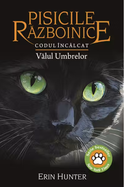 Codul Incalcat