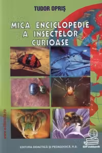 Mica enciclopedie a insectelor curioase
