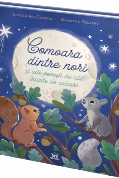Comoara dintre nori