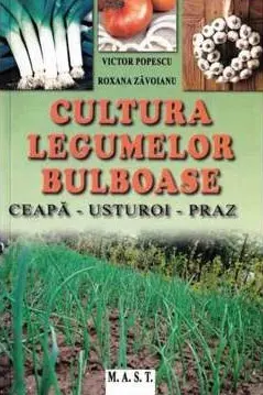 Cultura legumelor bulboase