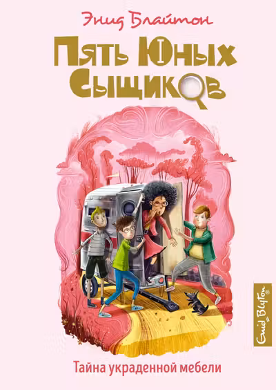 Тайна украденной мебели Пять юных сыщиков