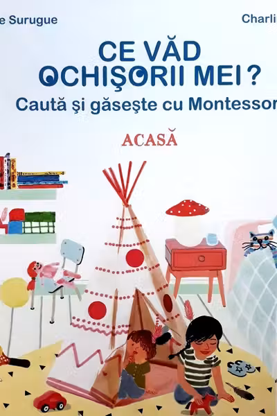 Ce văd ochisorii mei? Acasă. Caută și găsește cu Montessori