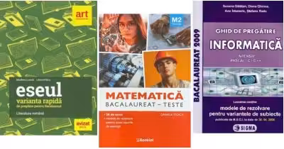 Pachet Bacalaureat 2026. Eseul. Varianta rapida de pregatire, Matematica M2 Tehnologic si Informatica clasele 11-12, intensiv Pascal C/C++ - Liliana Paicu, Daniela Stoica, Susana Galatean