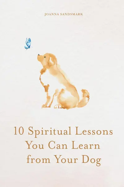 10 Spiritual Lessons You Can Learn from Your Dog