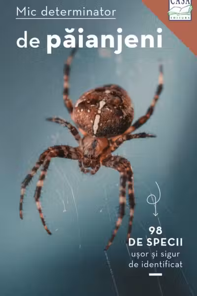 Mic determinator de paianjeni