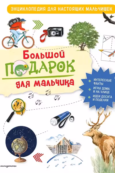 Большой подарок для мальчика. Энциклопедия для настоящих мальчишек