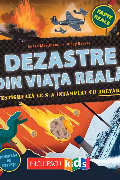 Dezastre din viata reala