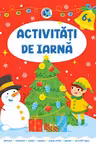 Activitati de iarna