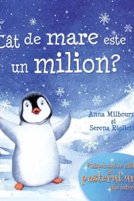 Cat de mare este un milion