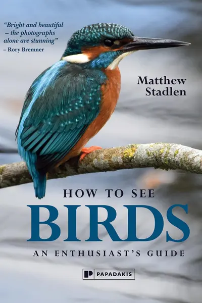 How to See Birds