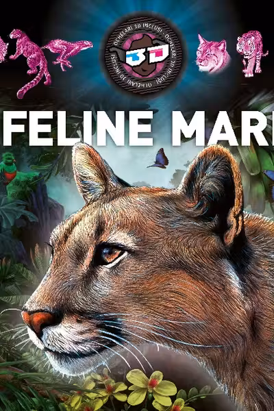 Feline mari 3D