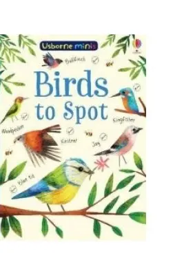 Birds to Spot