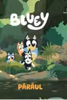 Bluey - Pârâul