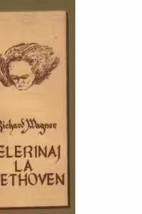 Pelerinaj la Beethoven