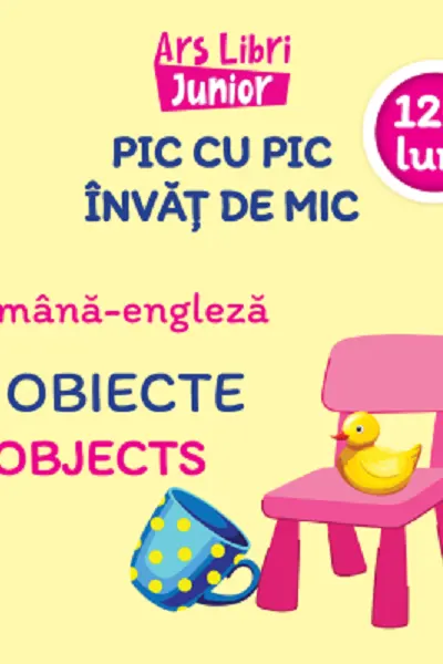 Pic cu pic învăț de mic - Obiecte