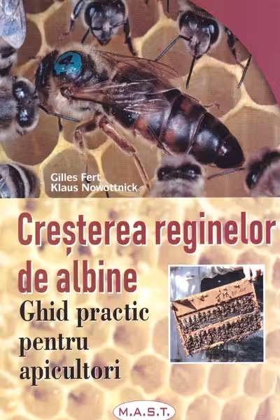 Creșterea reginelor de albine