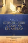 Scrisori catre o doamna din America
