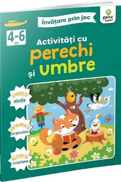 Activitati cu perechi si umbre