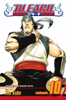Bleach Vol. 10