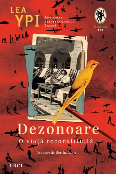 Dezonoare
