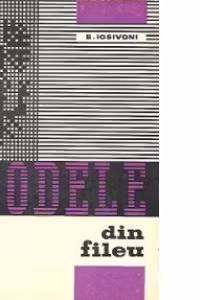 Modele din fileu