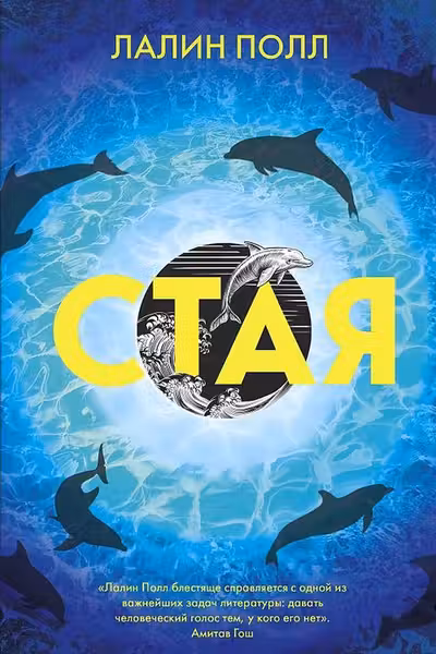 Стая