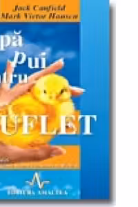 SUPA DE PUI PENTRU SUFLET - prima portie (101 povestiri pentru mangaierea inimii si inviorarea sufletului)