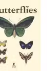 Butterflies/Schmetterlinge-editie bilingva